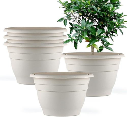 Pack inch plant - pots, for