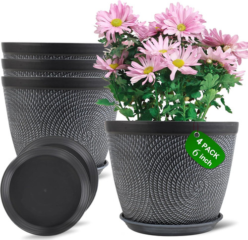 Pack inch flower pots - pack, 6
