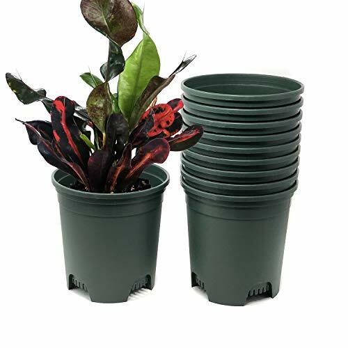 Pack gal nursery pot - nursery,
