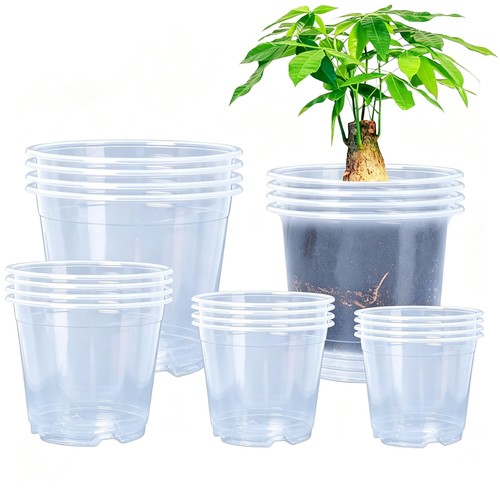 Clear nursery pots - clear,