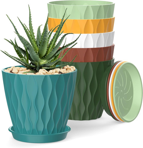 Inch plant pots - inch,