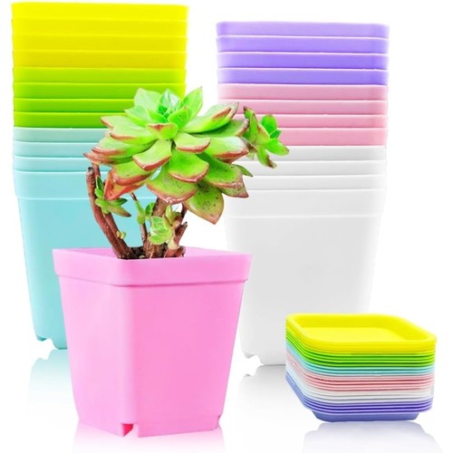 Pack colorful flower - colorful,