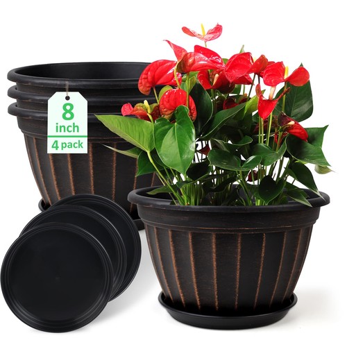 Pack flower pots - flower, inch
